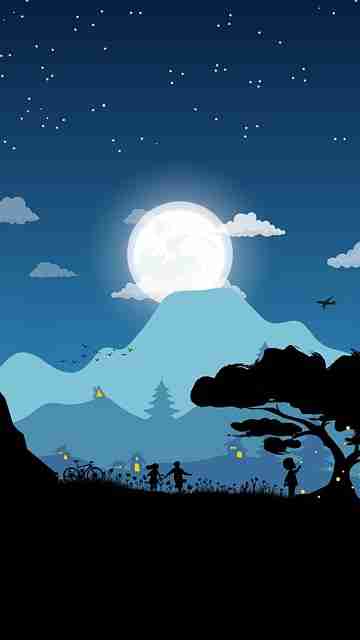 为什么P站入口霸榜？粉丝经济告诉你答案（新手福音）