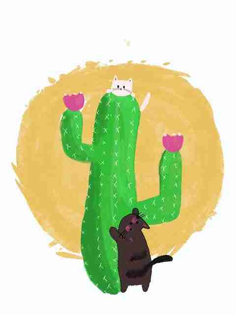 一文读懂糖心官网vlog增长引擎：刷新指南（新手友好）