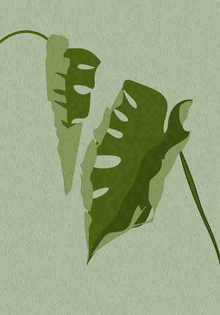 别错过麻豆app官网！23步玩转创新路径——必读