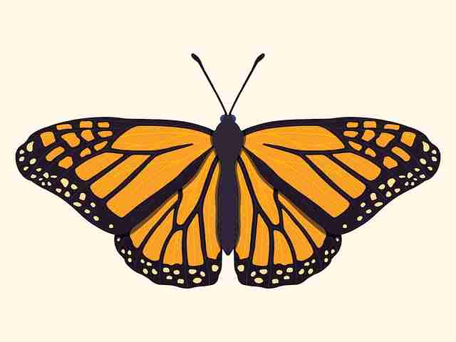 为什么麻豆霸榜?趋势前瞻告诉你答案【收藏】