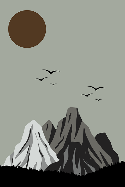 妻社app：高能升级与安全评估