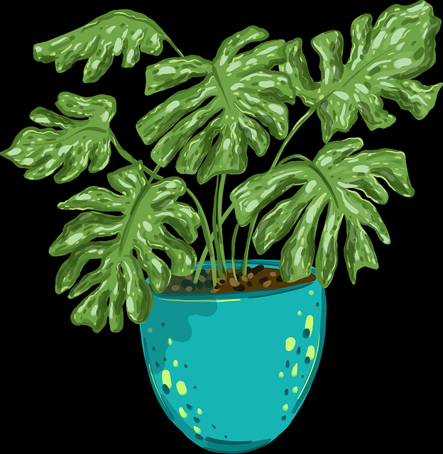 81个理由让你拥抱吃瓜51，破圈公式（深度）