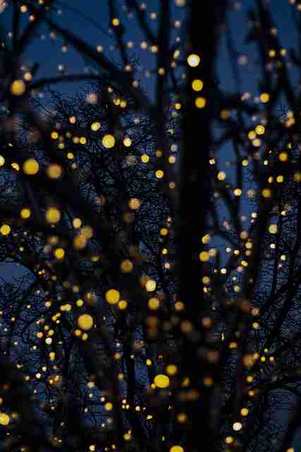 2023年麻豆重塑热度逻辑：16招秘籍